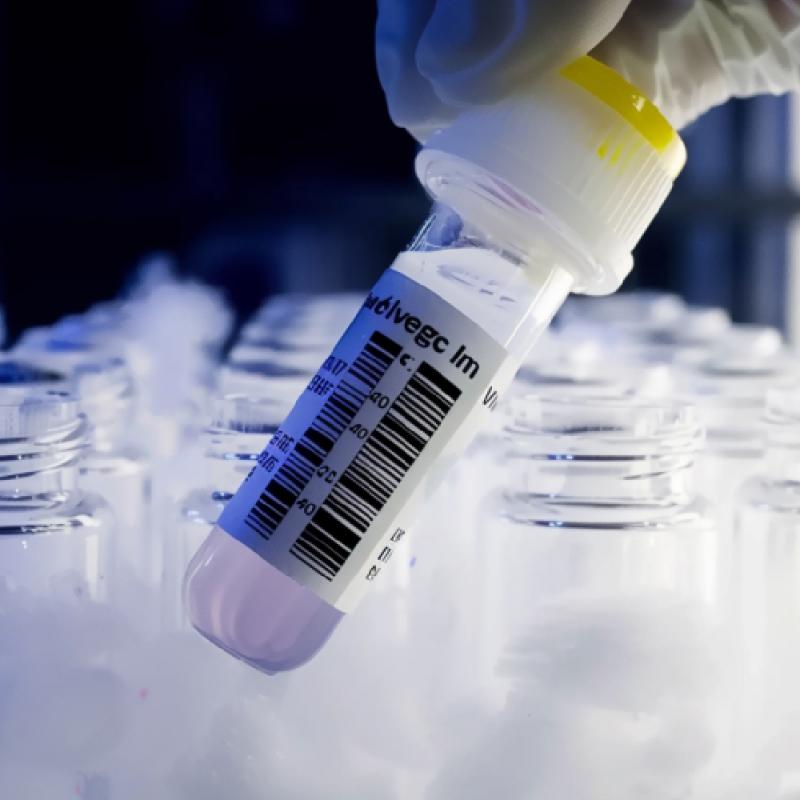 Adesivo per bassa temperatura